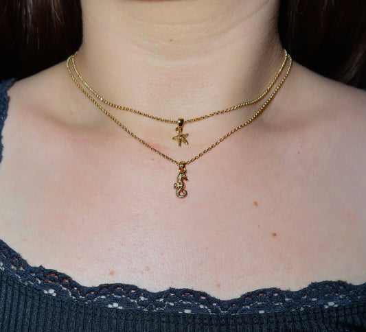 #27 Seahorse and Starfish Pair Necklace